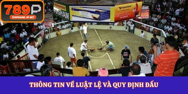 Thông tin về luật lệ và quy định đấu trường gà Savan