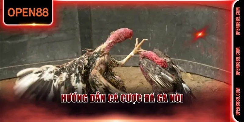 Nắm chắc cách cá cược khi tham gia