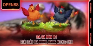 Đá gà đòn C1