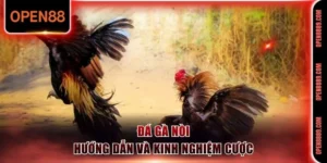 đá gà nòi