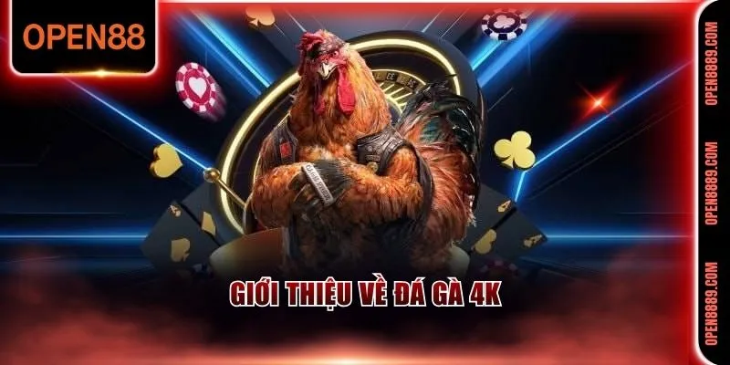 Sơ lược về bộ môn đá gà 4K