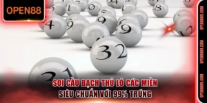 Soi cầu bạch thủ lô