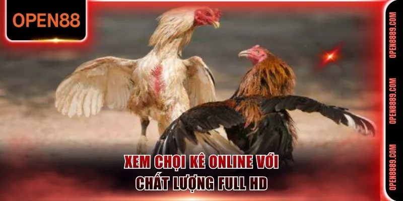 Xem chọi kê online với chất lượng Full HD